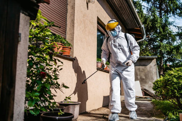 Best Termite Control Services  in Shady Spring, WV